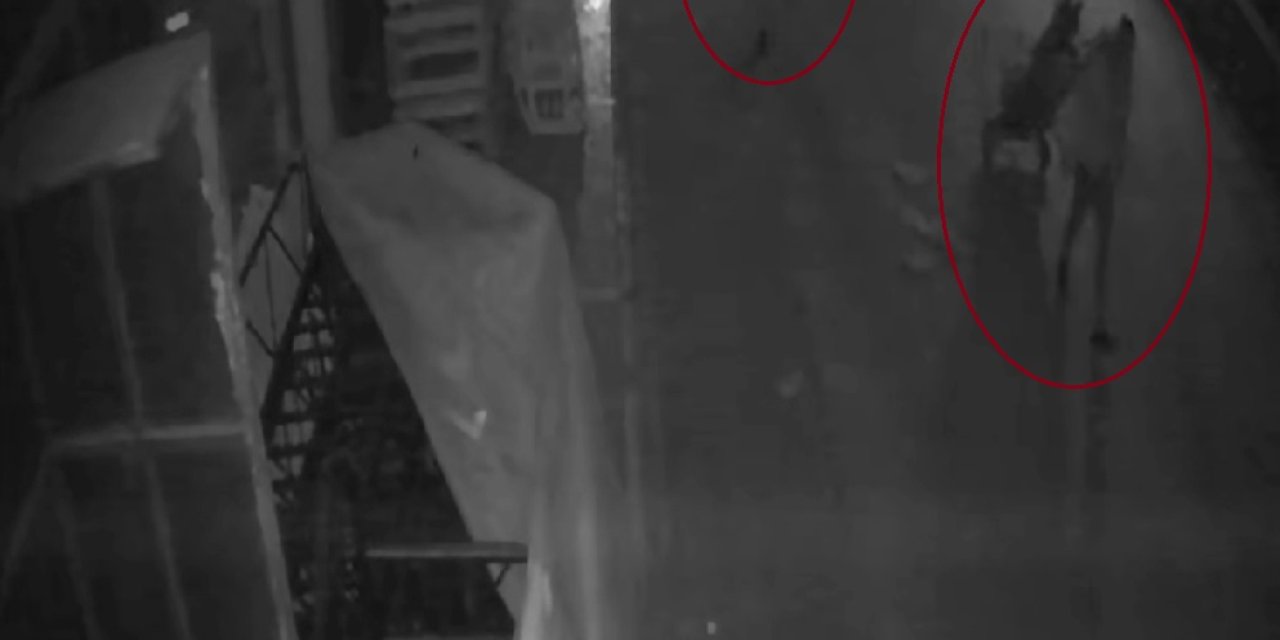 El Arabasıyla Dolaşıp, Bahçe Koltuğunu Çaldılar