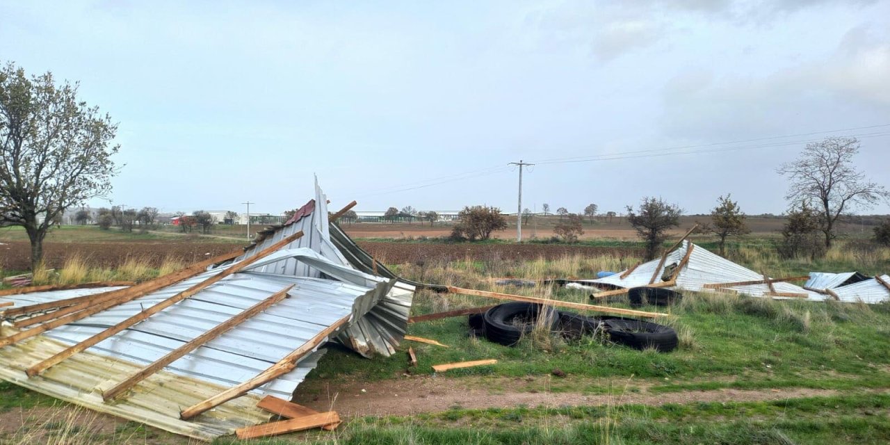 Çanakkale'de Fırtına; Ağaç Devrildi (2)