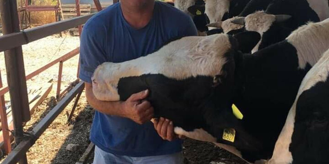 Eski Muhtar Tartıştığı Komşunu Öldürdü, Eşini Yaraladı