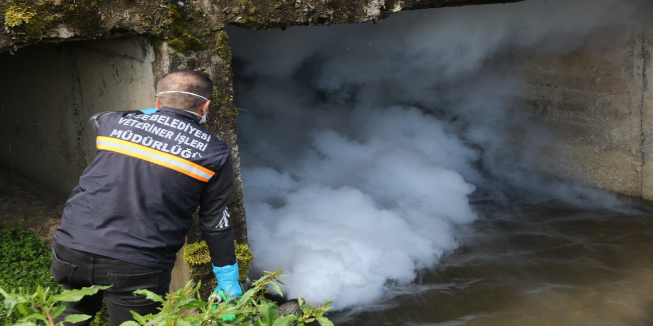 Rize’de Sivrisinek ve Haşerelerle Mücadele Başladı