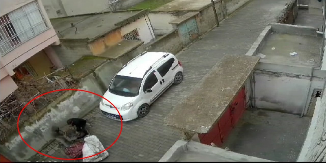 Batman’da Çekçekle Rögar Kapağı Hırsızlığı Kamerada