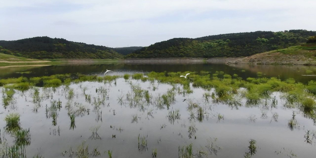 İstanbul Barajlarında Doluluk Oranı Yüzde 55.31'e Yükseldi