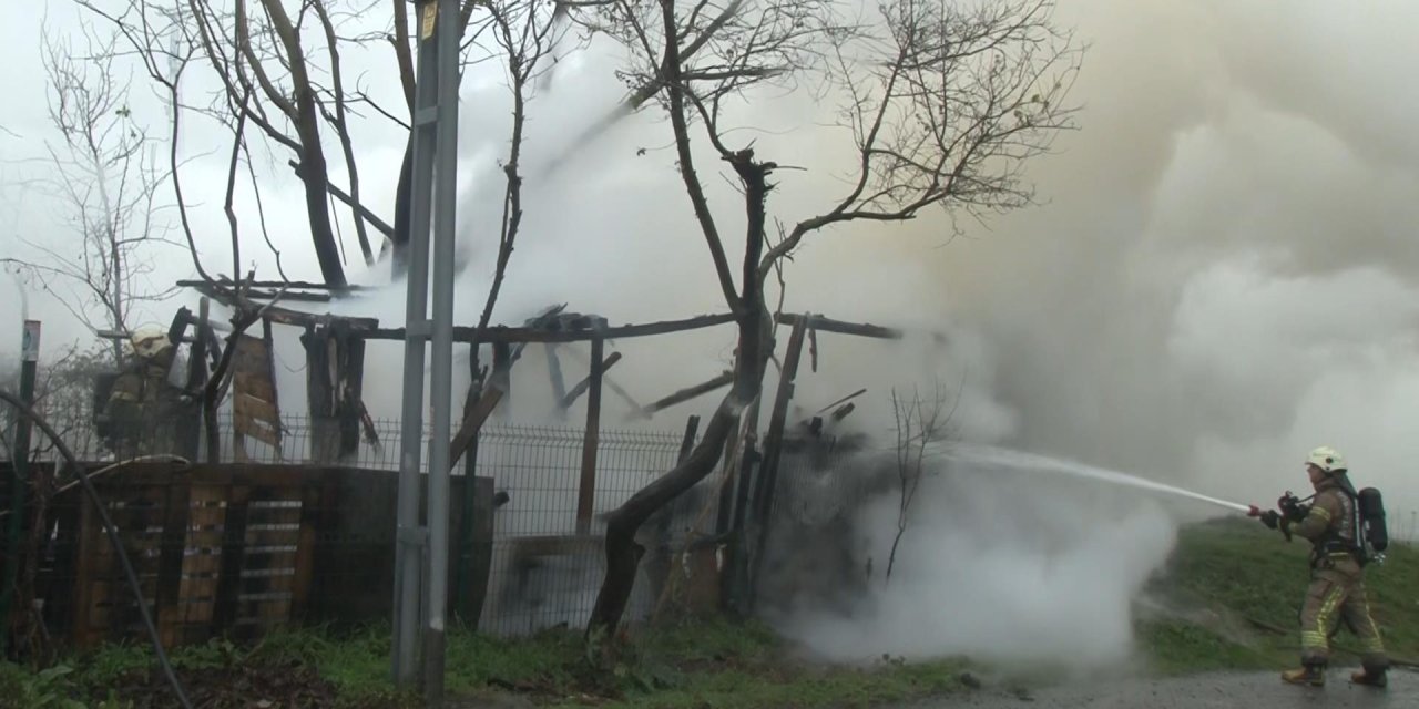 Arnavutköy'de Ahırdaki Sobadan Yangın Çıktı: 8 Koyun Telef Oldu