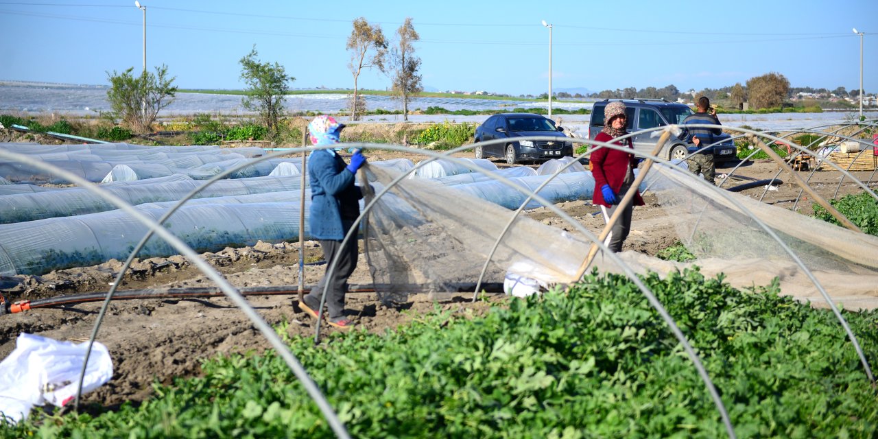 Doç. Dr. Gündoğdu: 20 Günlük Erken Hasat İçin Bereketli Topraklar Plastikle Kirletiliyor