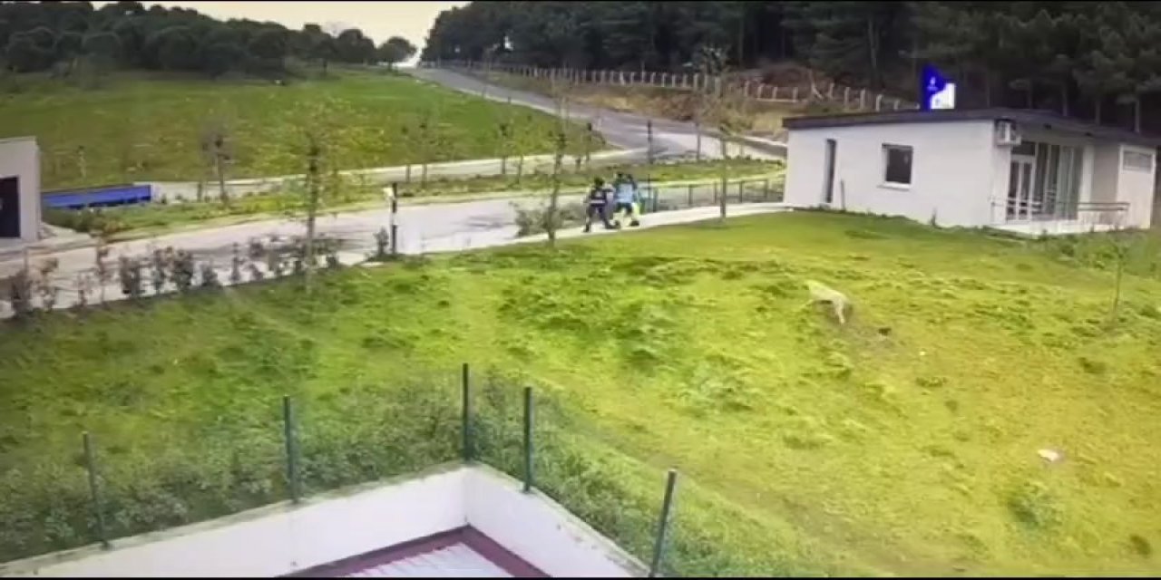 Eyüpsultan'da Cinayet Güvenlik Kamerasında