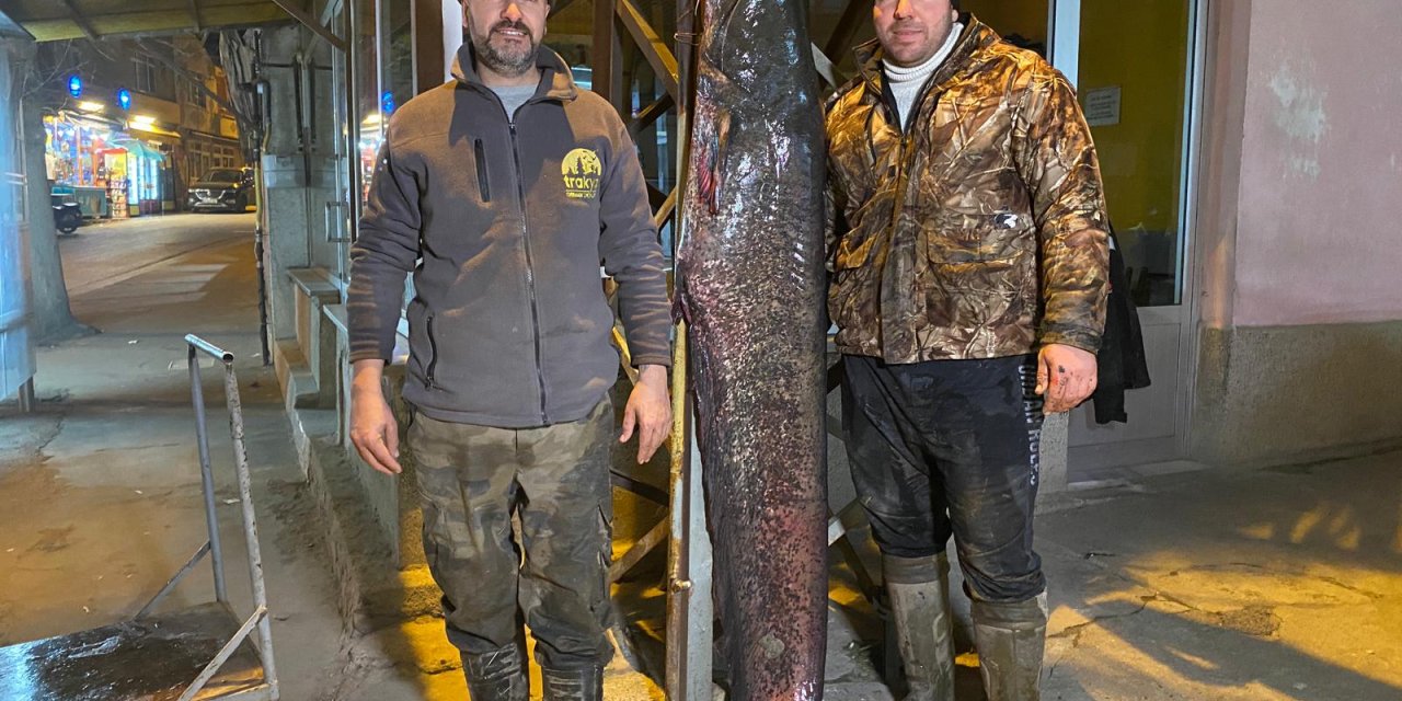 Meriç Nehri'nde 2 Metre, 70 Kilo Yayın Yakaladılar
