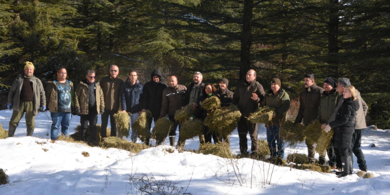 Karla Kaplı Spil'deki Yaban Hayvanları İçin Doğaya Yem Bırakıldı