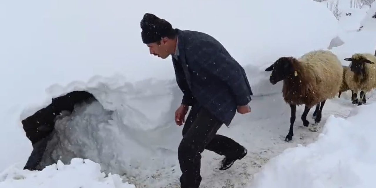 Van'ın Yükseklerinde Kar Kalınlığı 1 Metreyi Aştı