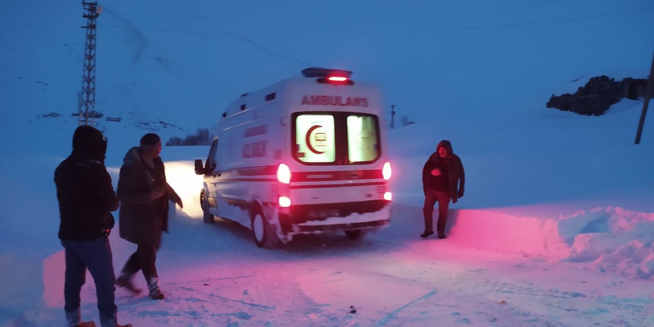 Van'ın Yükseklerinde Kar Kalınlığı 1 Metreyi Aştı (3)