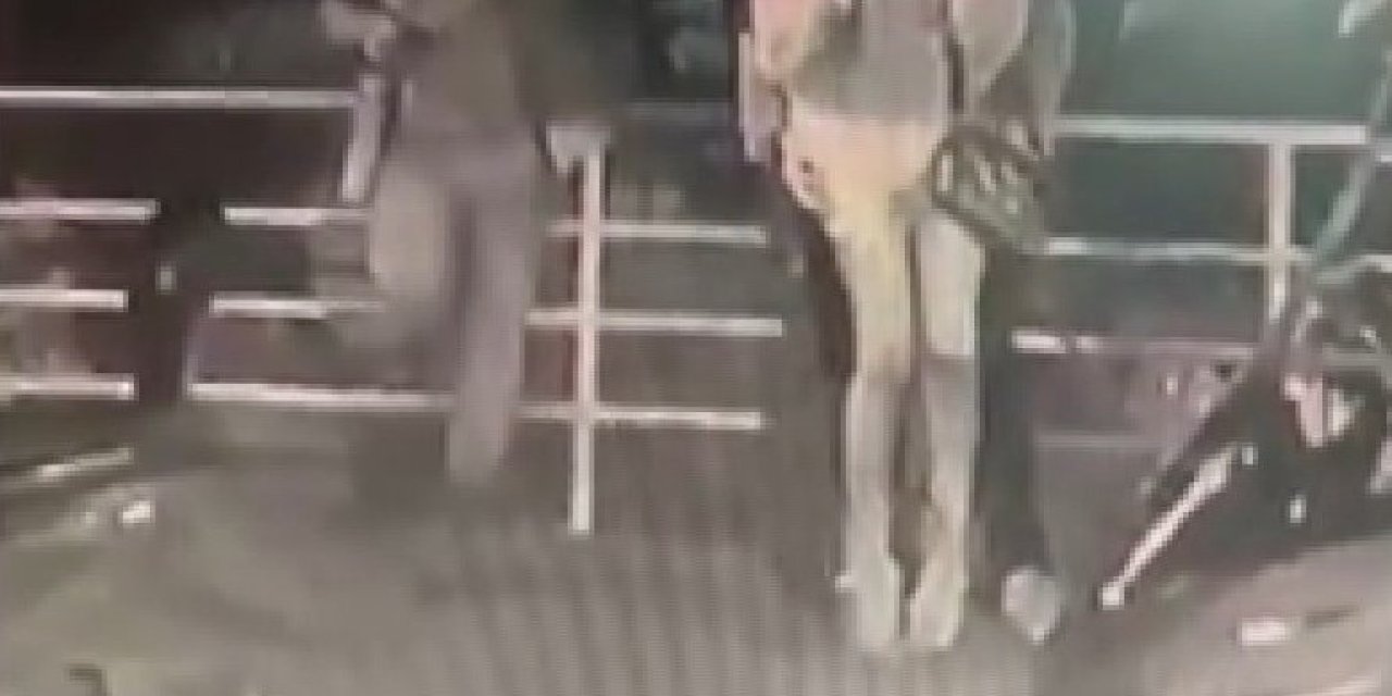 Beyoğlu'nda İki Kişinin Cep Telefonunu Çalan Şüpheli Güvenlik Kamerasına Yakalandı