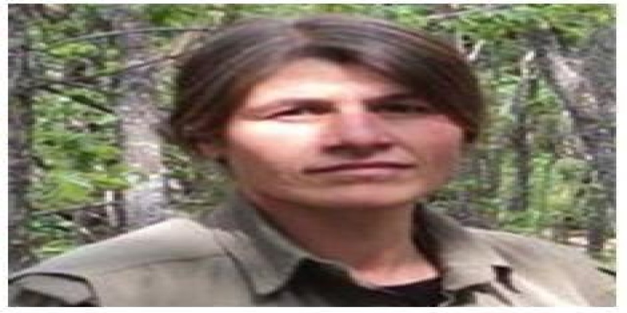 Mit, Terör Örgütü Pkk'nın Sözde Sorumlusunu Etkisiz Hale Getirdi