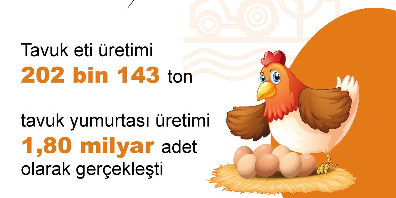Tüik: Kasımda Yumurta Üretimi Ve İnek Sütü Miktarı Arttı