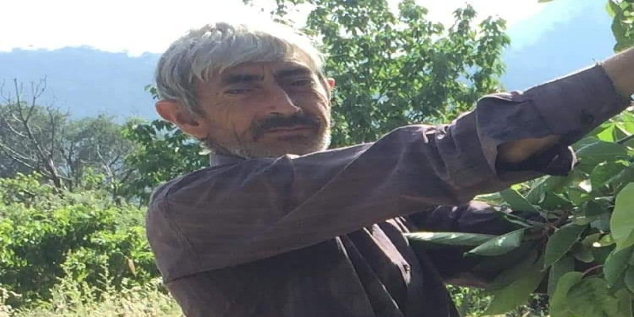 Kestiği Ağacın Altında Kalan Çiftçi Öldü