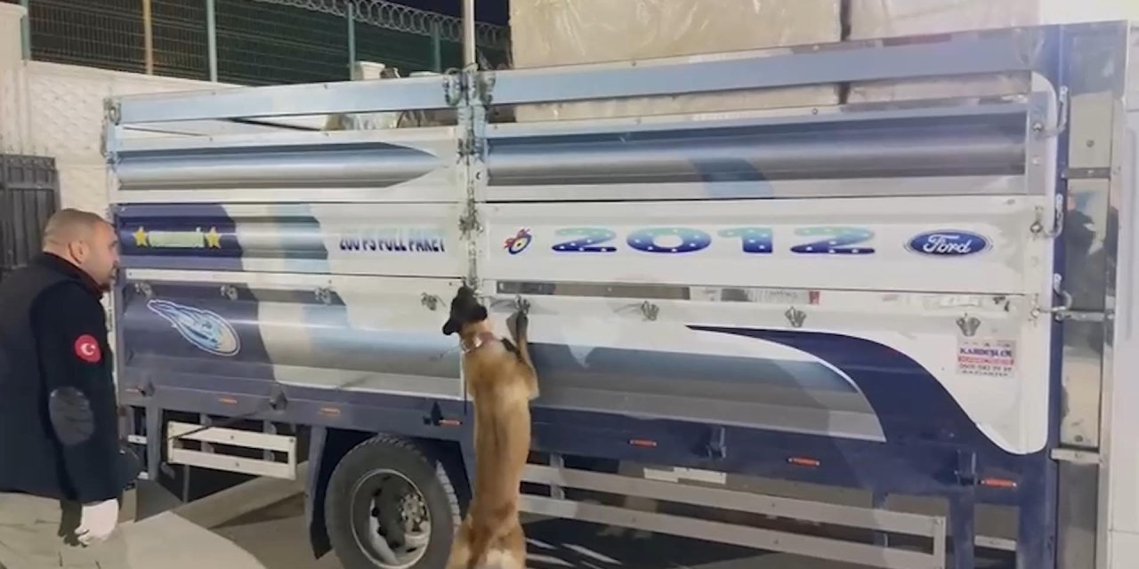 Eşya Yüklü Kamyonetteki Buzdolabından 70 Kilo Skunk Çıktı