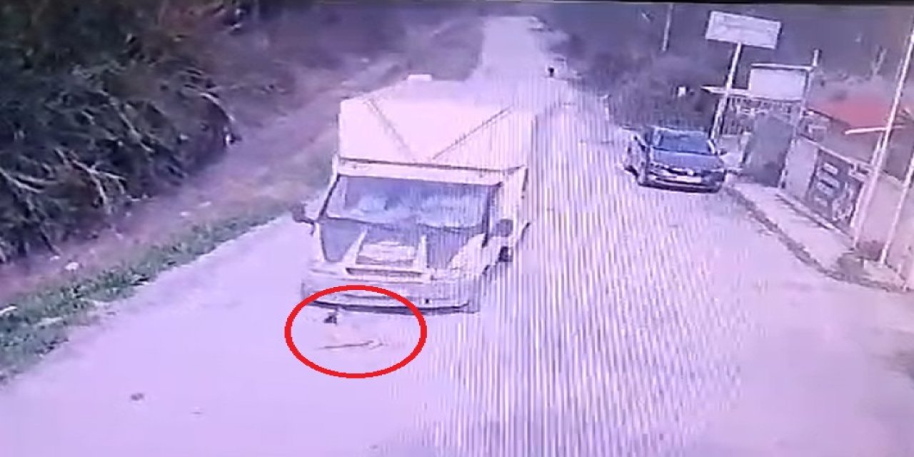 Mersin'de Kamyonet, Köpek 'mutlu'ya Çarptı; O Anlar Kamerada