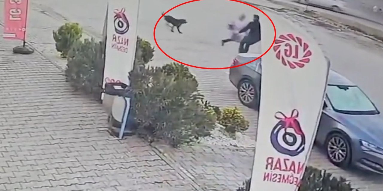 Köpeklerin Saldırdığı Çocuğu Esnaf Ve Otomobil Sürücüsü Kurtardı; O Anlar Kamerada