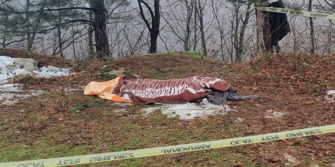 Kestiği Ağacın Altında Kalan Orman İşçisi Öldü