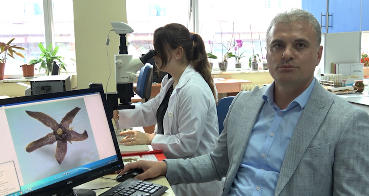 RTEÜ’lü Akademisyenler Yeni Bir Otsu Endemik Bitki Türü Keşfetti