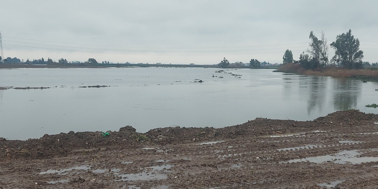 Asi Nehri Yağışla Taştı; Tarım Arazileri Su Altında Kaldı