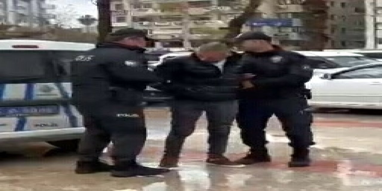 Sokaktan Topladığı 4 Kediyi Öldürüp, Apartmanın Bahçesine Atmış (2)