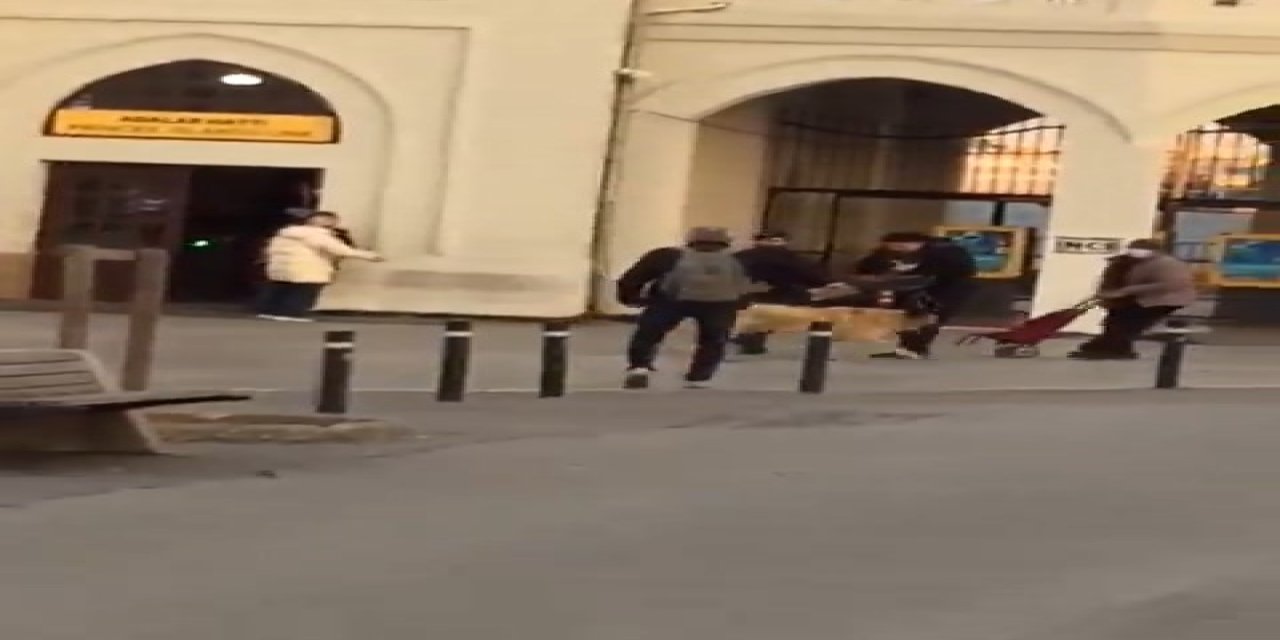 Kadıköy Ve Başakşehir'de Başıboş Köpekler Sokakta Yürüyenlere Saldırdı