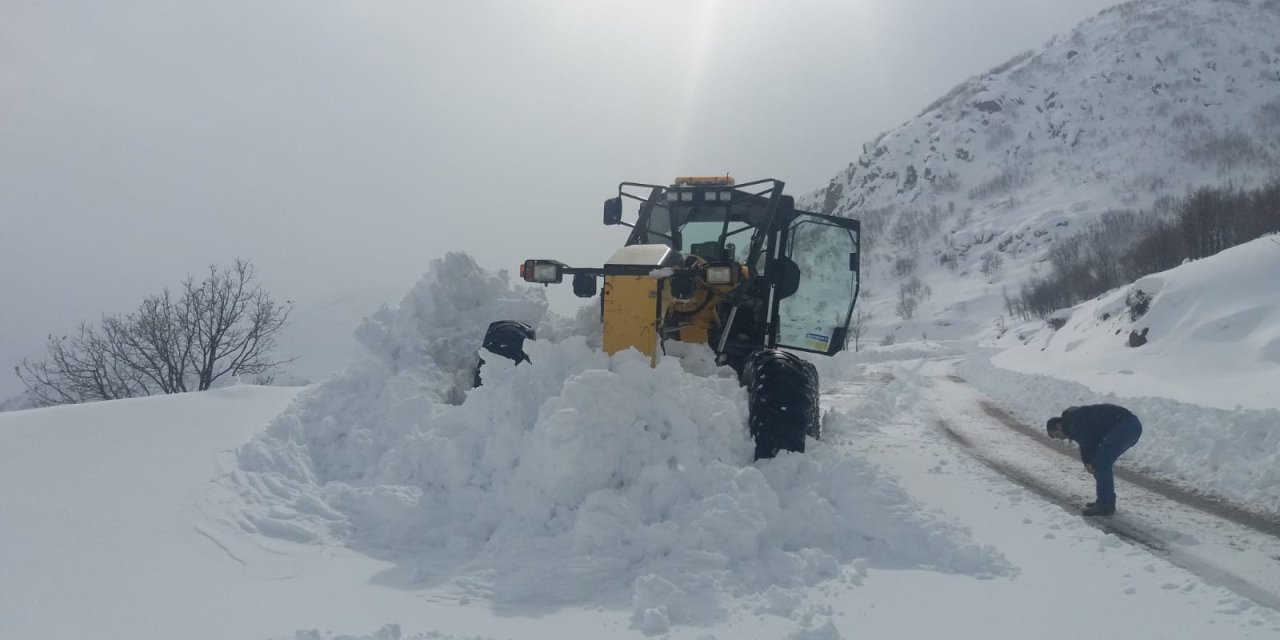 Bingöl’de 91 Köy Yolu Kardan Kapandı
