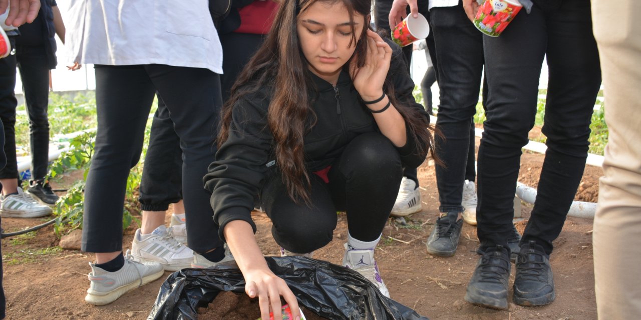 Hollanda Büyükelçiliği’nin Gönderdiği Lale Soğanları, Silopi’de Yetiştirilecek