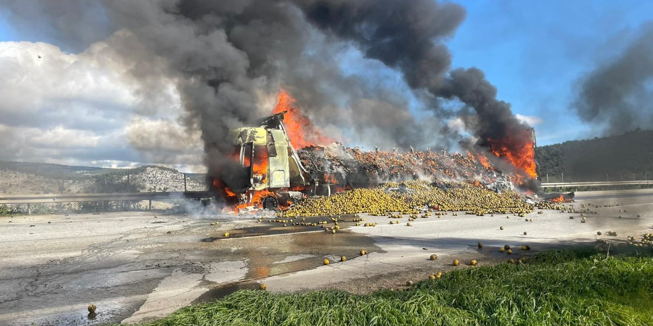 Narenciye Yüklü Tır, Otoyolda Alev Alev Yandı