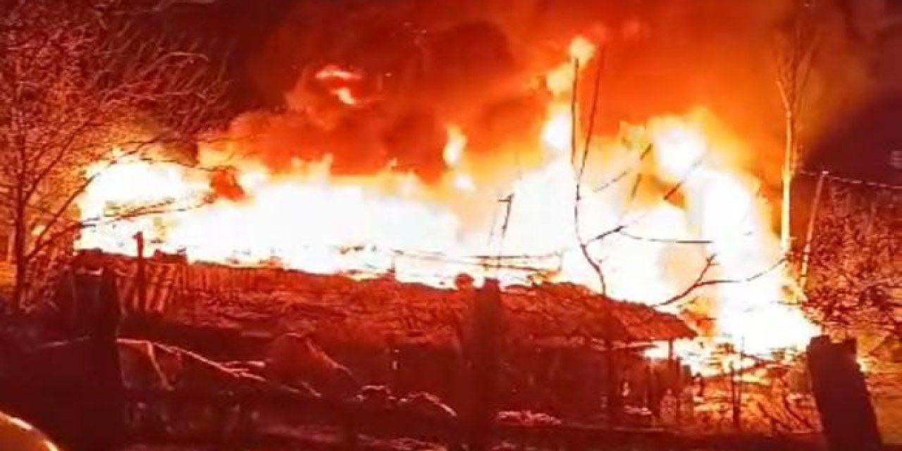 Başakşehir'de Büyükbaş Hayvanların Bulunduğu Ahırda Yangın