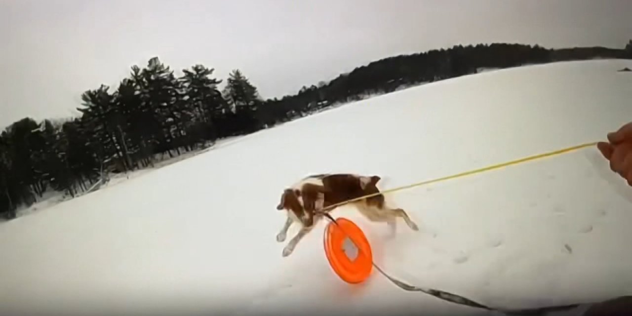 Abd'de Donmuş Göle Düşen Adamı, Köpeği Ve Polis Kurtardı