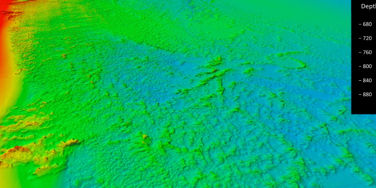 Dünyanın En Geniş Derin Deniz Mercan Resifinin Haritası Çıkarıldı