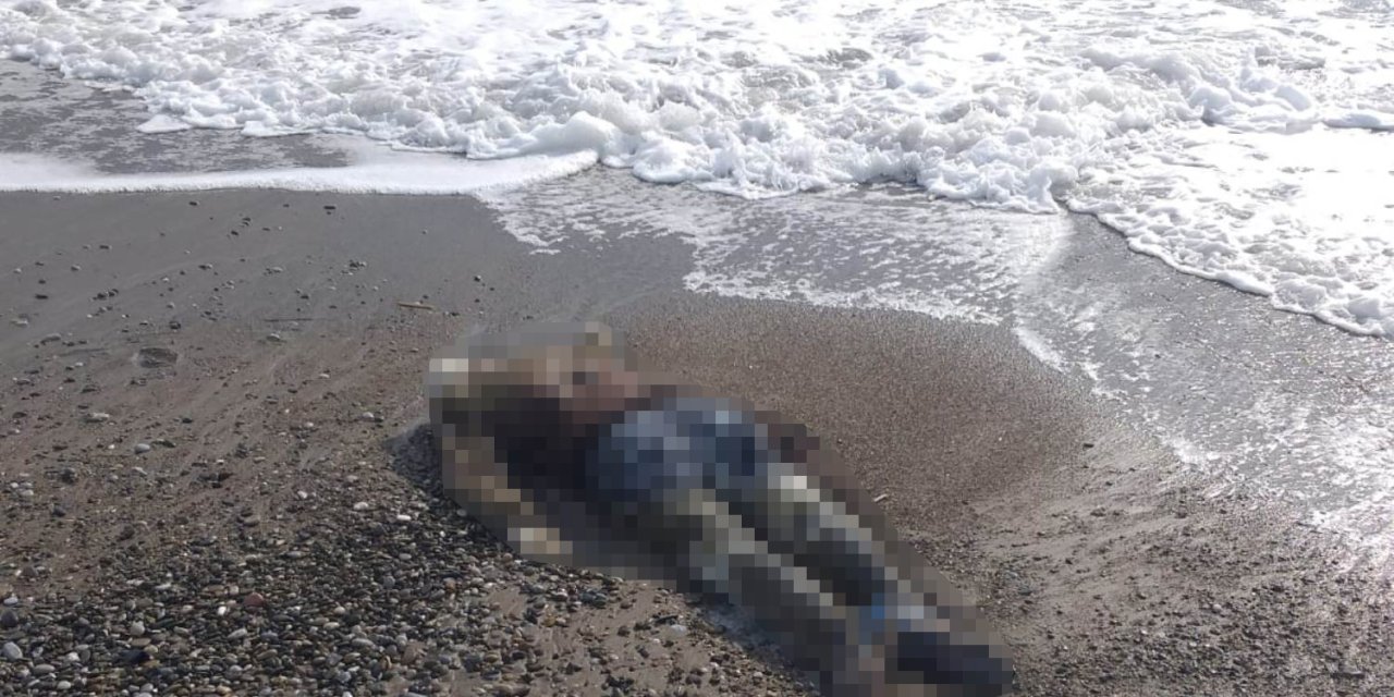 Manavgat'ta Farklı Sahillerde 2 Ceset Bulundu