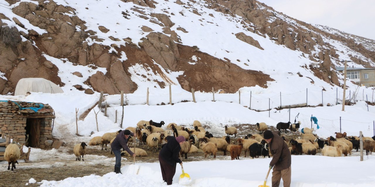 Yüksekova'da Besicilerin Zorlu Kış Mesaisi