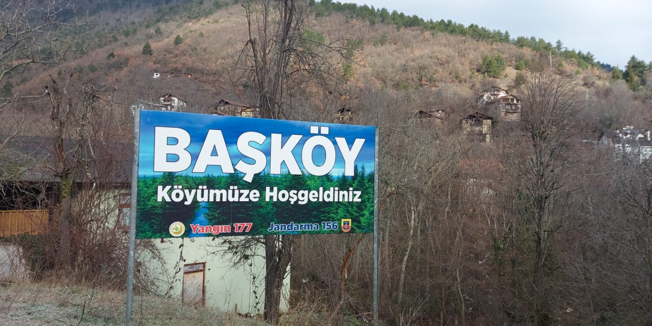 Karabük'te, Hayvanların Zehirlenerek Öldürüldüğü İddiasına Soruşturma