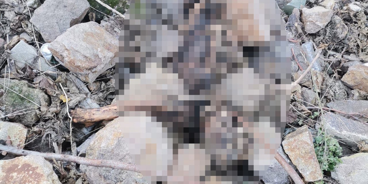 İzmir'de Tarihi Asansör Yakınında İnsan İskeleti Bulundu