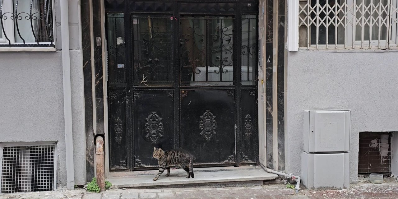 Fatih'te Özbekistanlı İki Kadına Evde Bıçaklı Saldırı: 1 Ölü