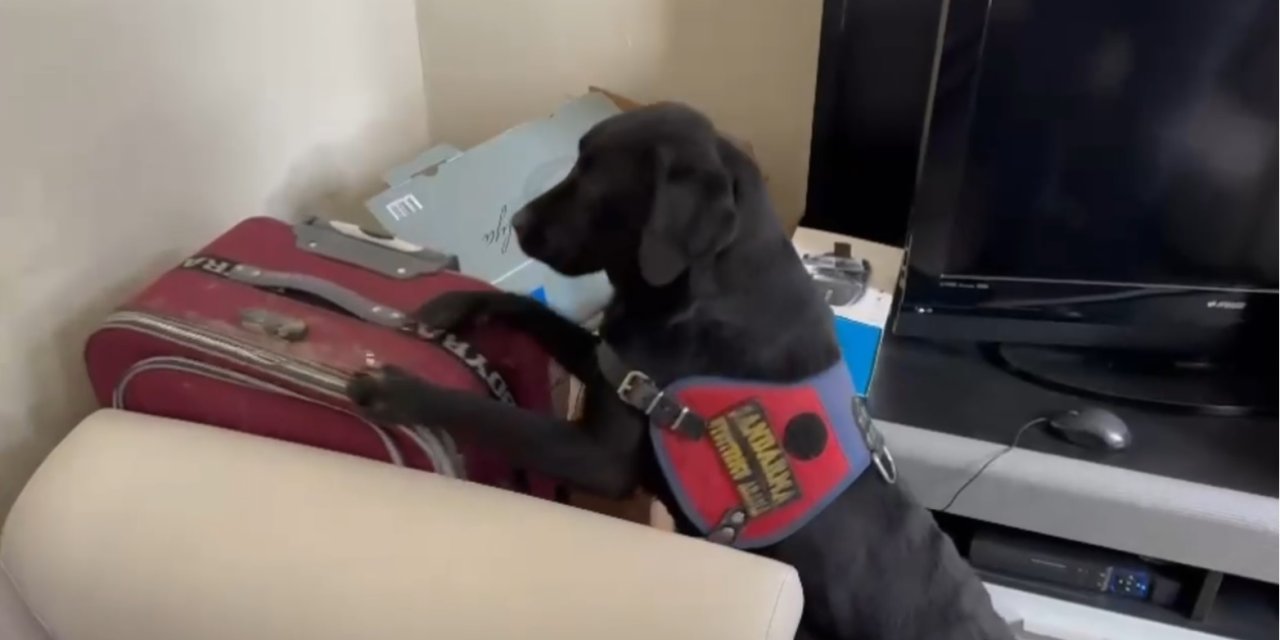 Sakarya'da Uyuşturucu Operasyonu: 6 Gözaltı