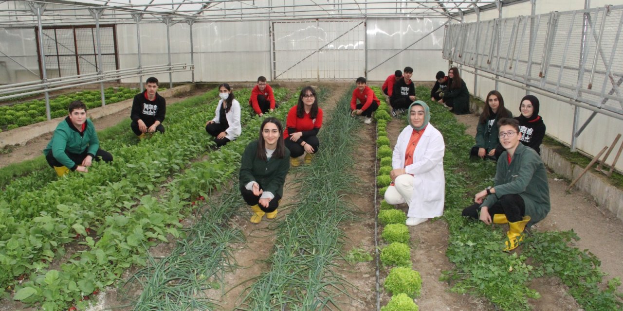 Liselilerin Serada Yetiştirdiği Sebzeler Sofrada