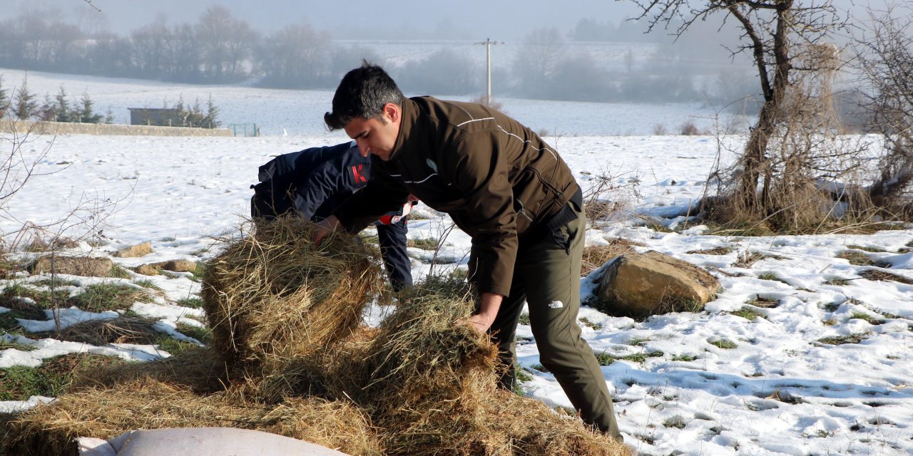 Karla Kaplı Yaylaya Yılkı Atları İçin Yem Bıraktılar