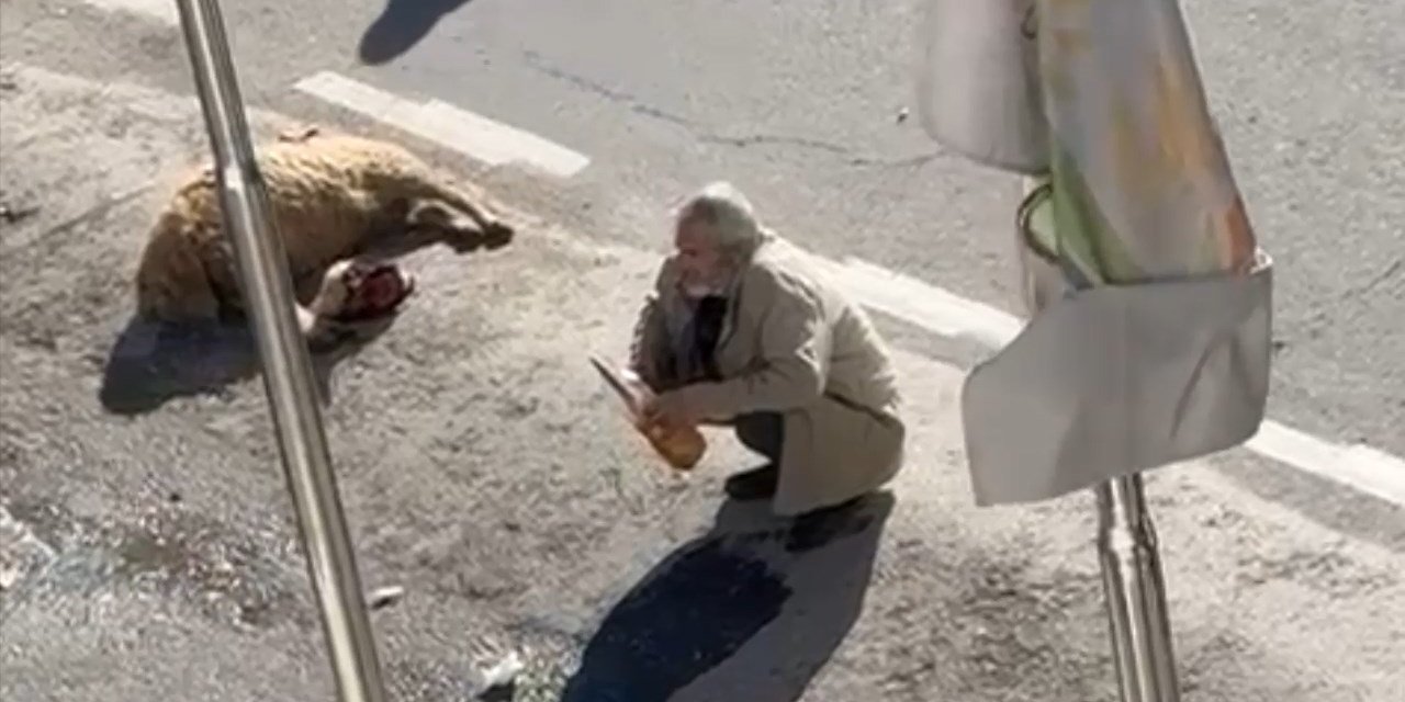 Ölen Koyunuyla Gelip, Bıçak Ve Benzinle Eylem Yapan Besici Gözaltına Alındı