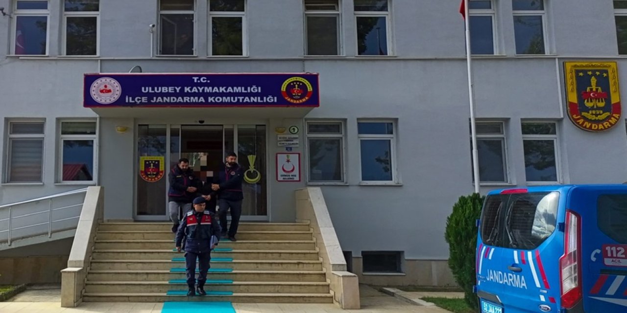 Ordu'da 1 Ton Fındık Hırsızlığına Tutuklama