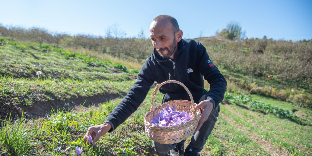 İhtisas Üniversiteleri Marka Olmak İçin Yarışıyor