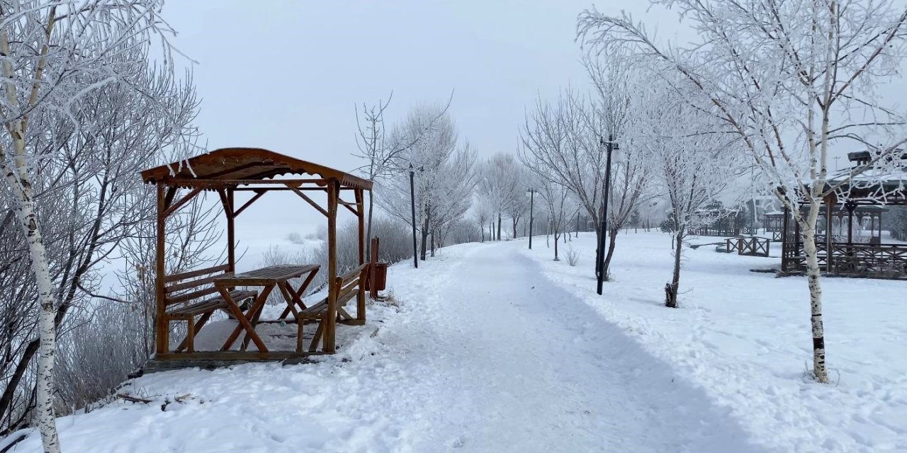 Sibirya Soğuklarının Etkisindeki Ardahan'da Ağaçlar Kırağı Tuttu