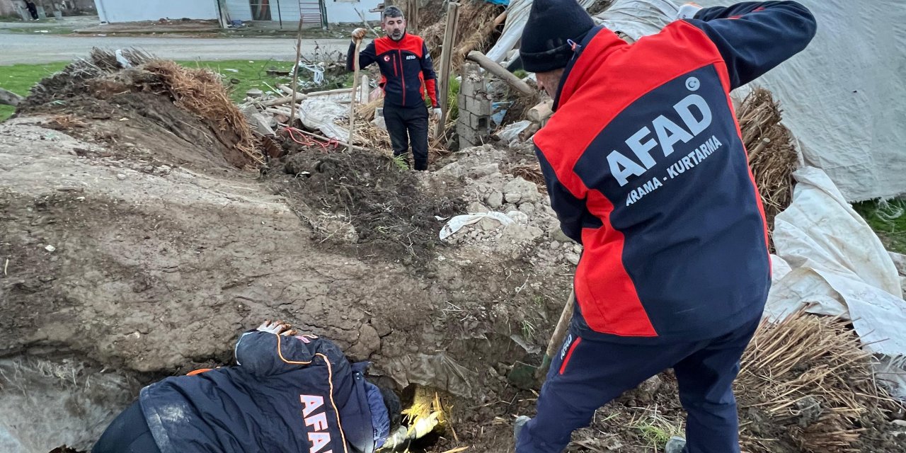 Ahır Çöktü; İçerdeki 8 Yavru Köpekten 5'i Sağ Çıkarıldı