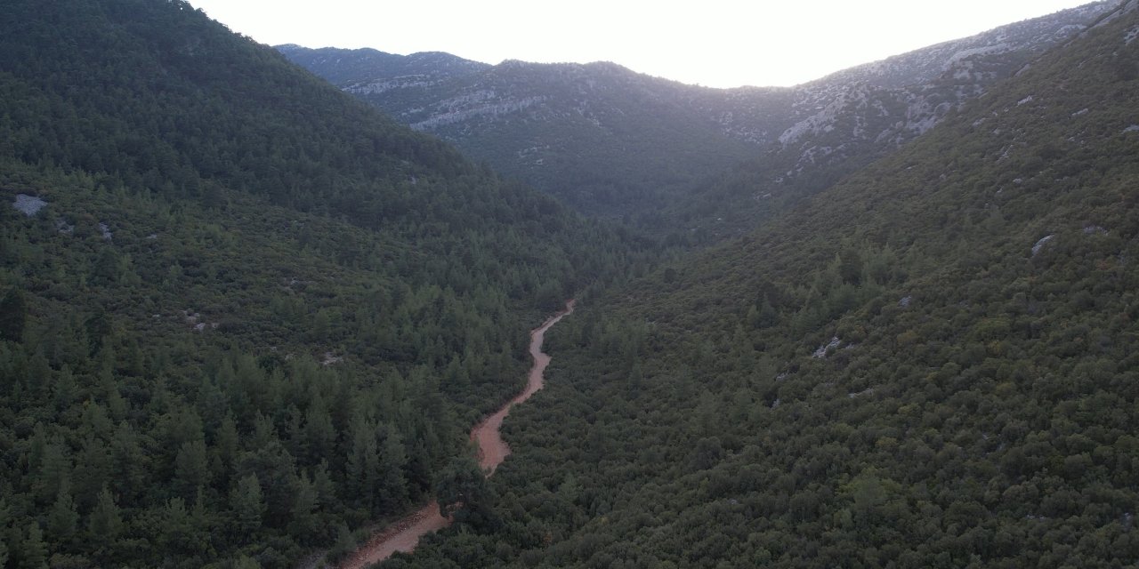 Oyak Çimento'nun Antalya'daki Üretim Sahası Yeniden Doğaya Kazandırılıyor