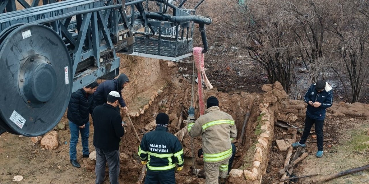Foseptiğe Düşen Eşek Kurtarıldı