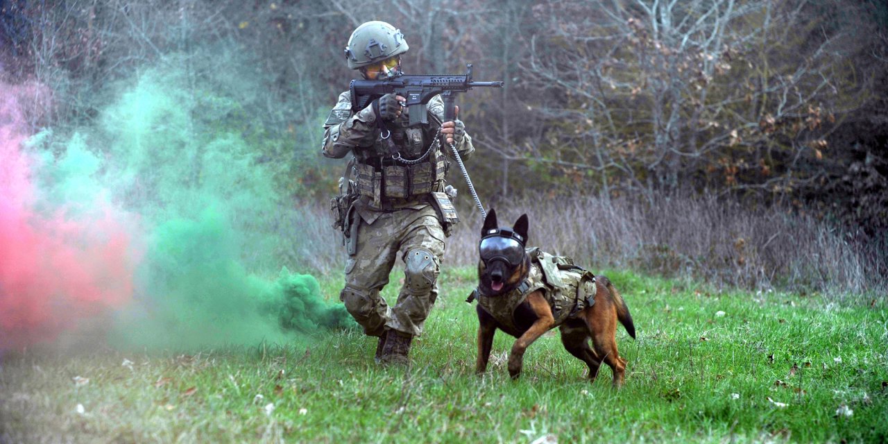 Tsk'nın 'Kahraman Köpekleri', Önce Parkurda Sonra Arazide Eğitiliyor