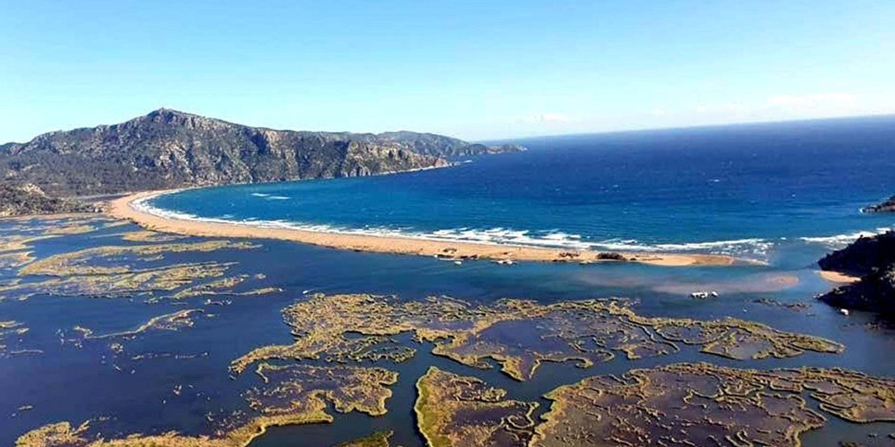 Deniz Kaplumbağaları Koruma Ve İzleme Projesi Raporunda 'Sazlık Kaybı' Uyarısı