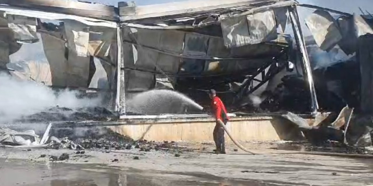 Mersin’de Narenciye Paketleme Tesisinde Yangın (2)