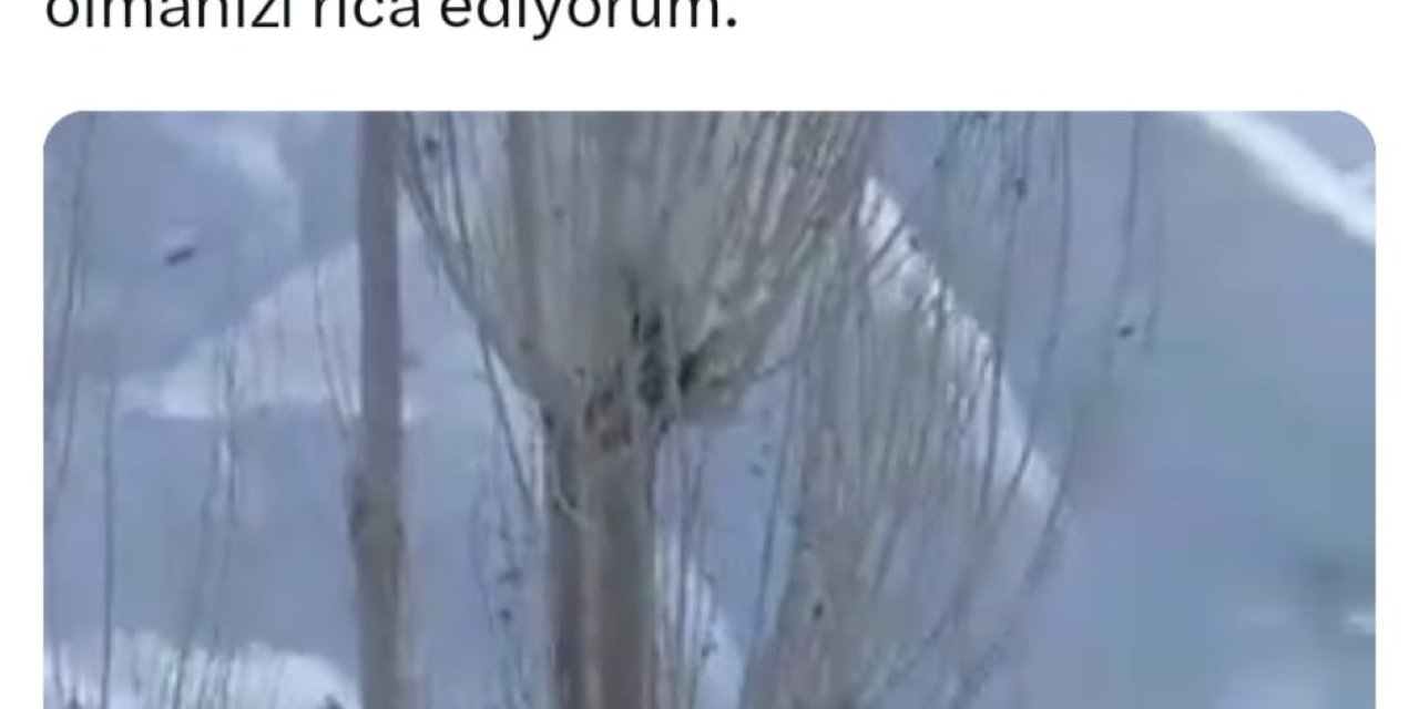 Van'da 451 Yerleşim Yerinin Yolu Kardan Kapandı (2)